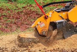 Professional Tree Care in Faribault, MN